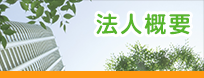 法人概要